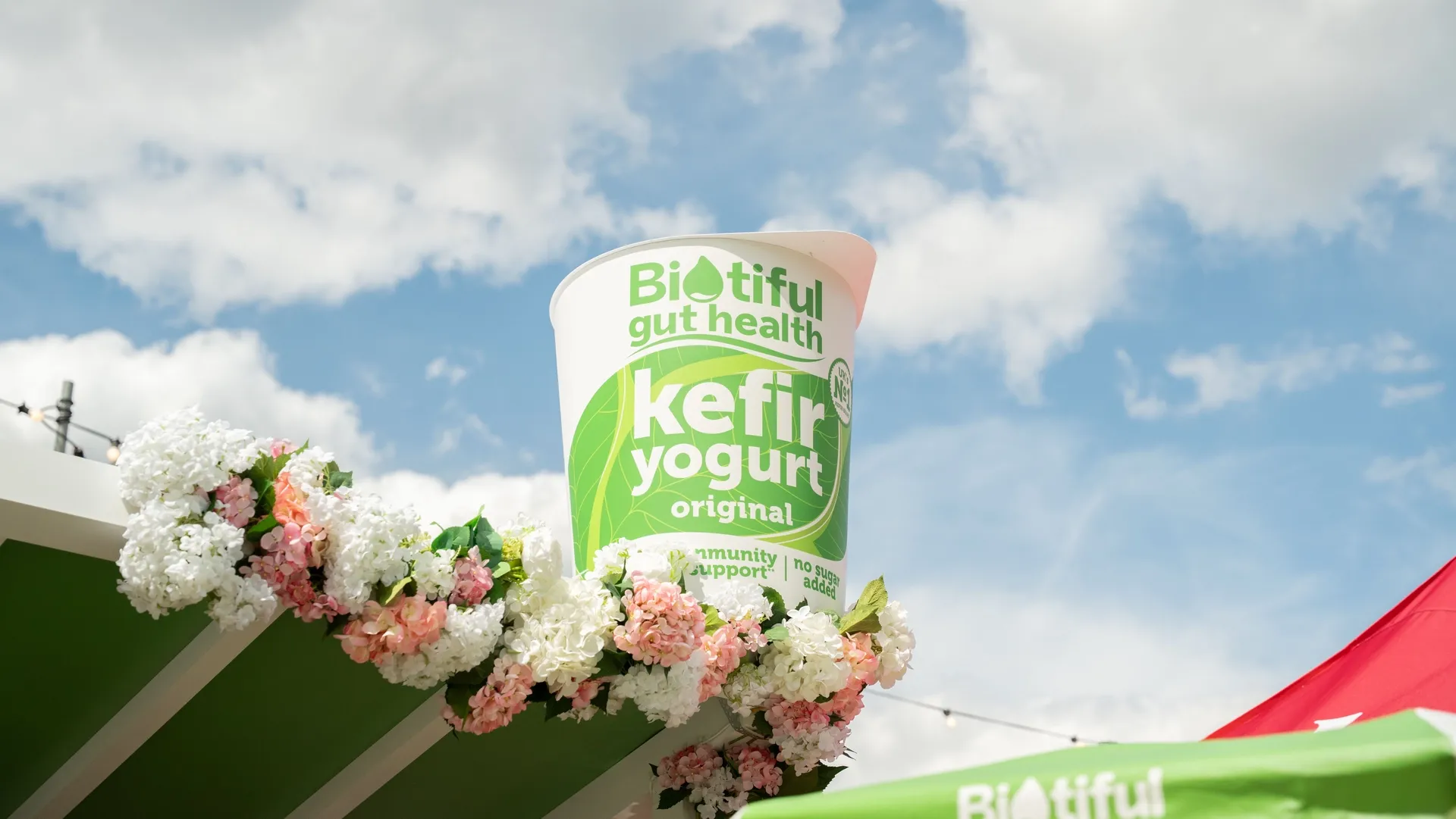 Biotiful hero image